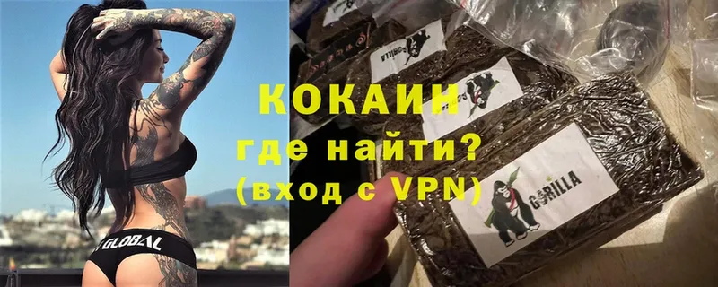 Кокаин Колумбийский  кракен как зайти  Каргат 